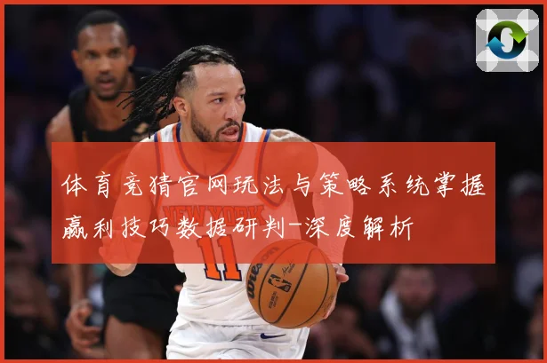 体育竞猜官网玩法与策略系统掌握赢利技巧数据研判-深度解析
