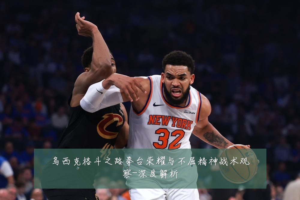 乌西克格斗之路拳台荣耀与不屈精神战术观察-深度解析