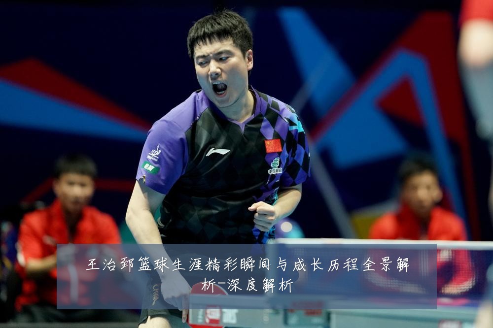 王治郅篮球生涯精彩瞬间与成长历程全景解析-深度解析